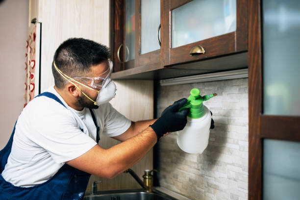 Best Mosquito Control Services  in Ayden, NC