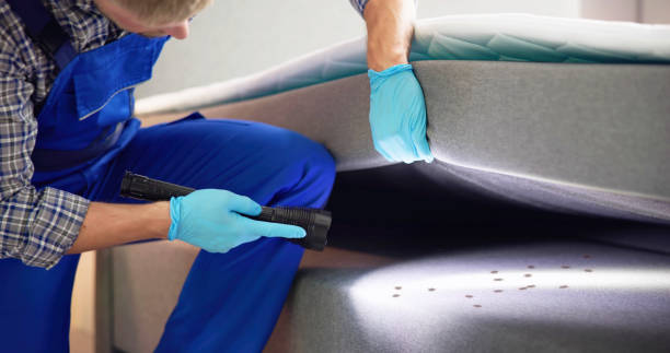 Best Pest Removal Services  in Ayden, NC