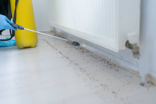 Best Cockroach Control Services  in Ayden, NC