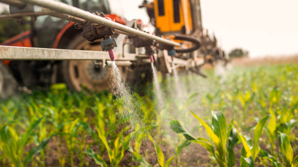 Best Mosquito Control Services  in Ayden, NC